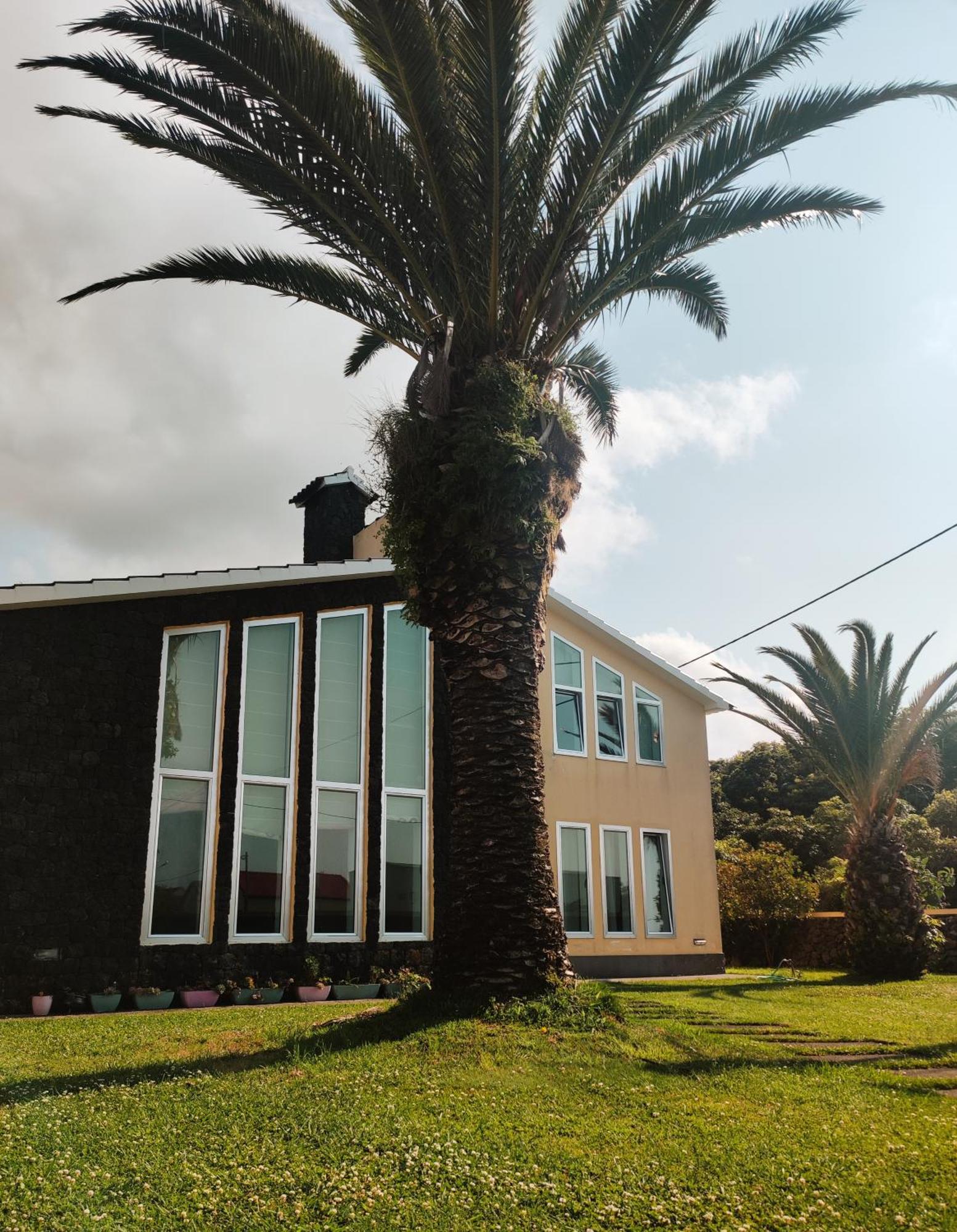 Appartamento Palmtree 37 Al Praia da Vitória Esterno foto